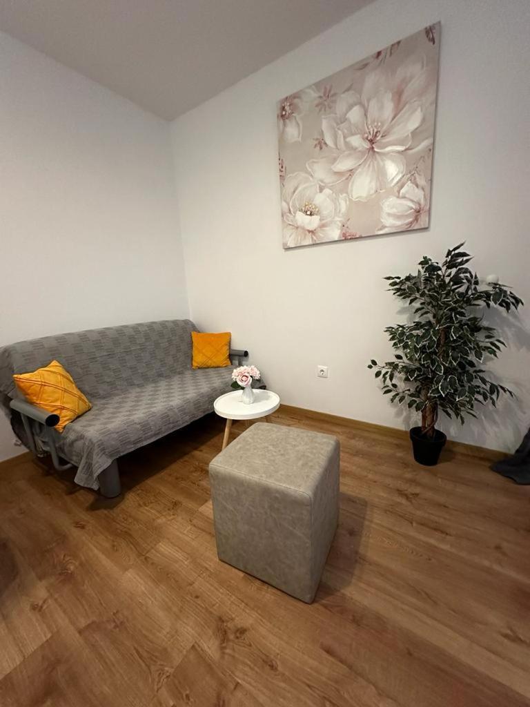 Apartmani Vice Brela Kültér fotó